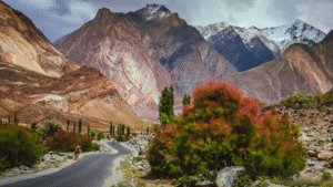 Read more about the article How to Plan a Stress-Free Family Vacation