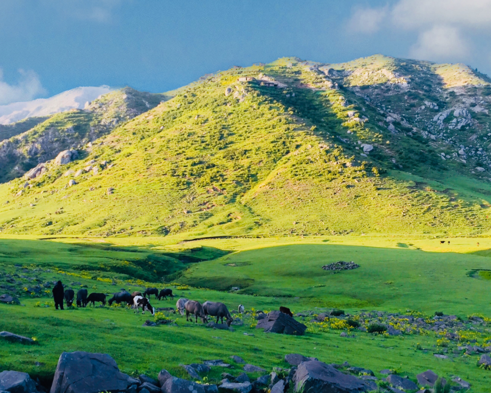 Naran Naran