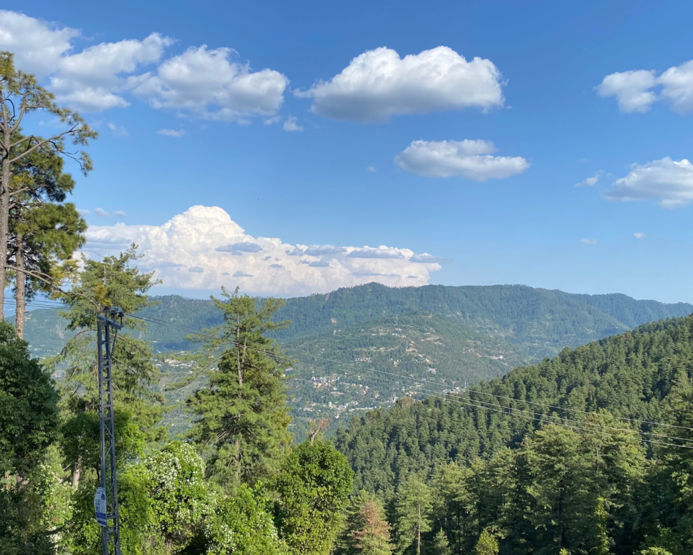 murree murree